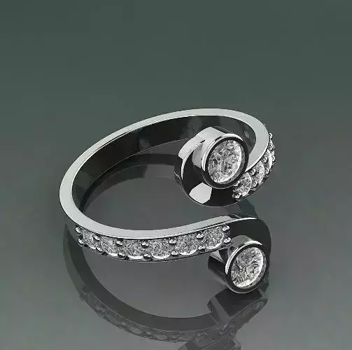 Ring Model 2539