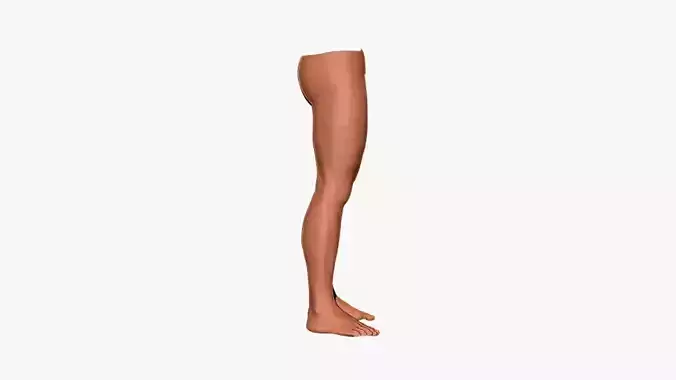 3D Beauty Foot model 3D model 3D print model