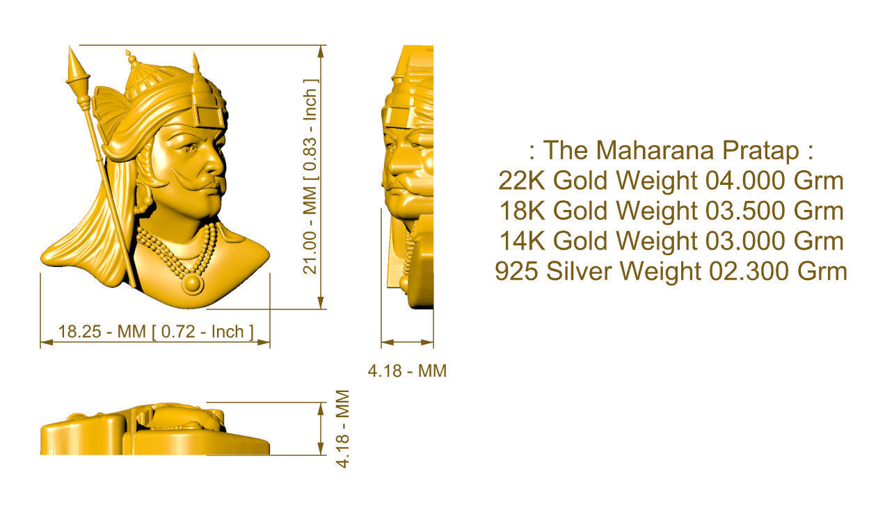 The Maharana Pratap 3D print model_8