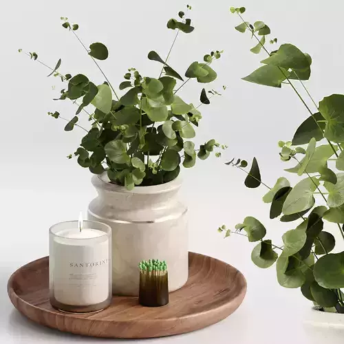 Coffee table decor 001