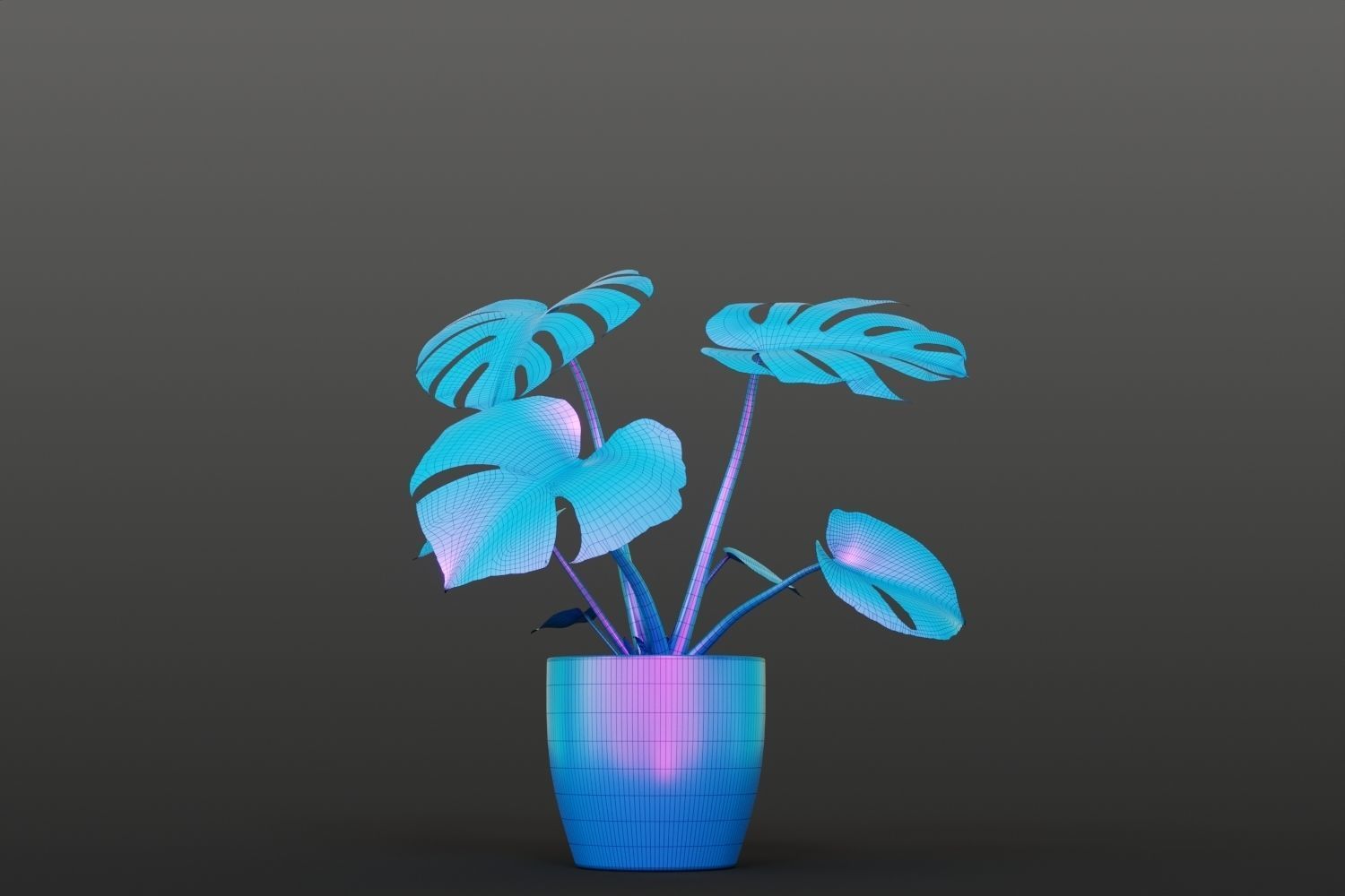 Exotic monstera plant in white pot 3D model_15