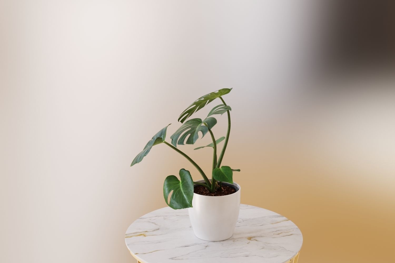 Exotic monstera plant in white pot 3D model_1