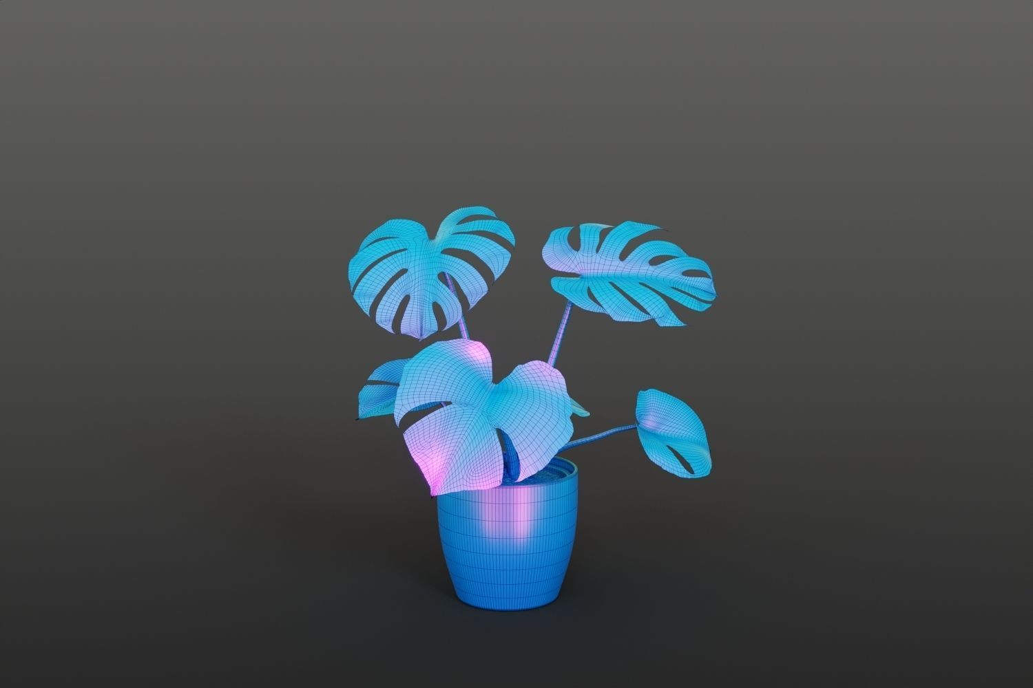 Exotic monstera plant in white pot 3D model_11