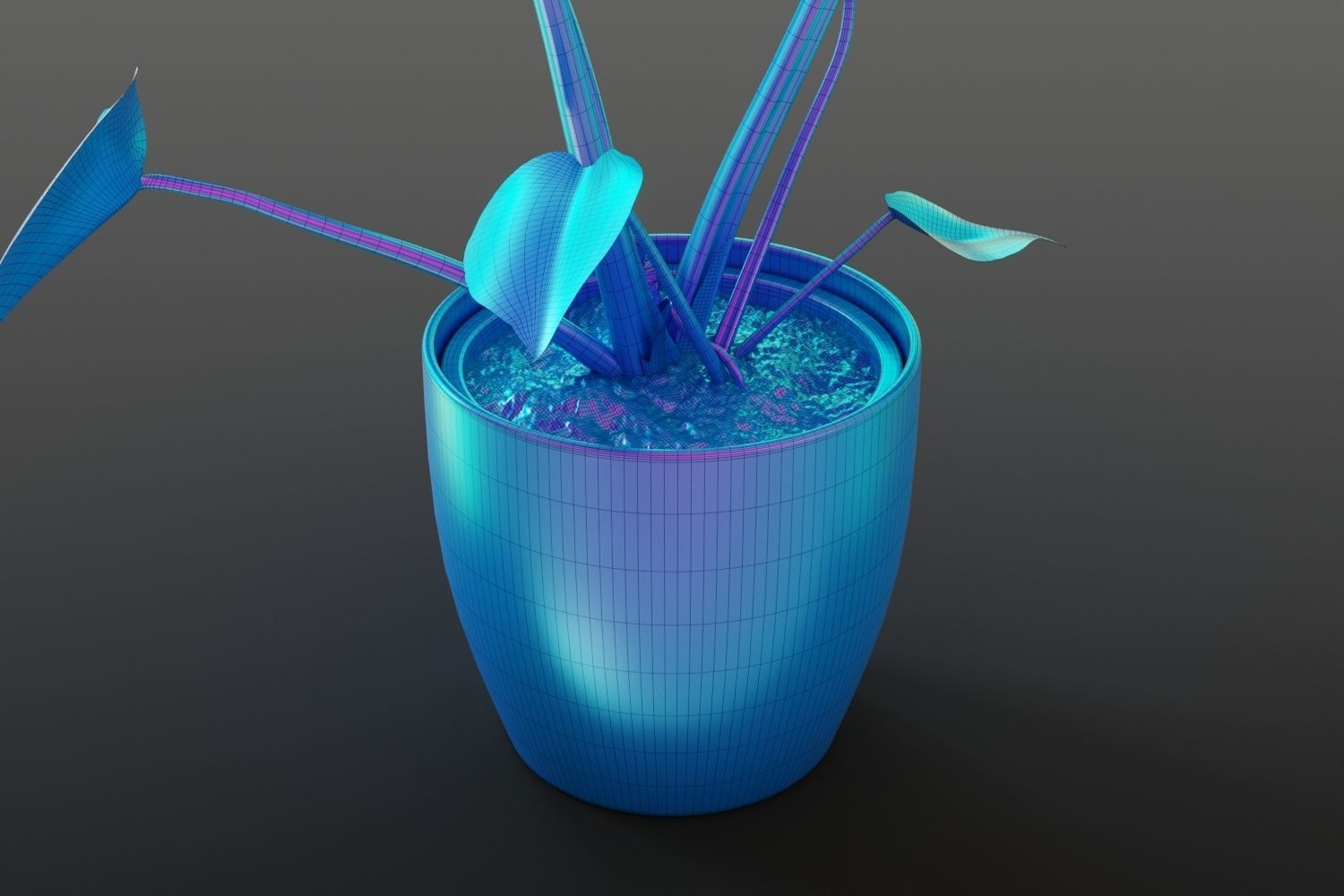 Exotic monstera plant in white pot 3D model_12