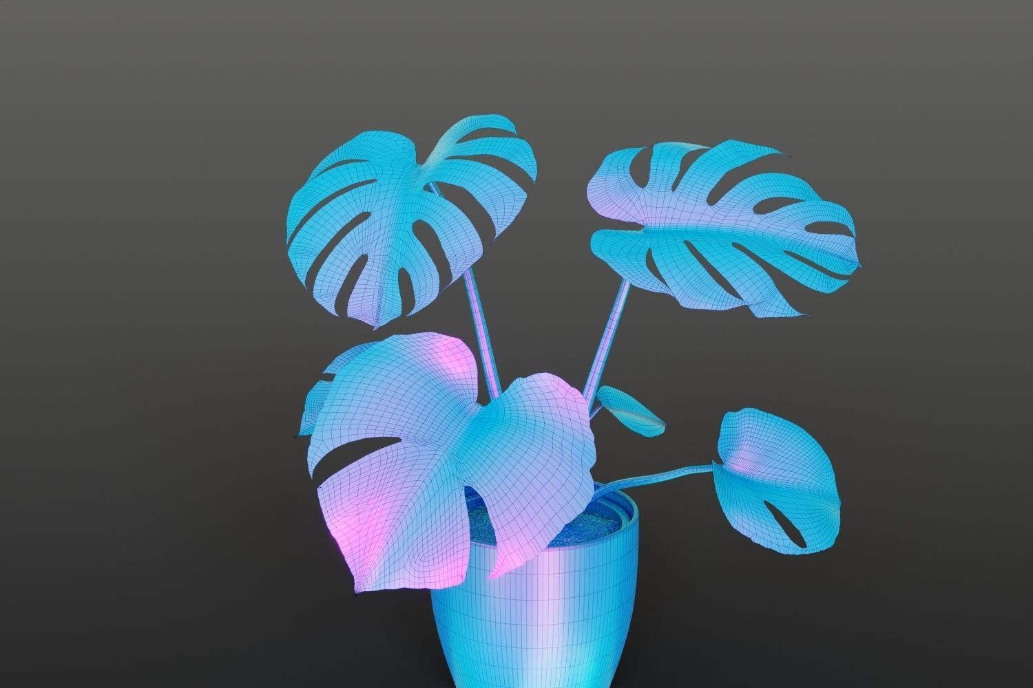 Exotic monstera plant in white pot 3D model_13