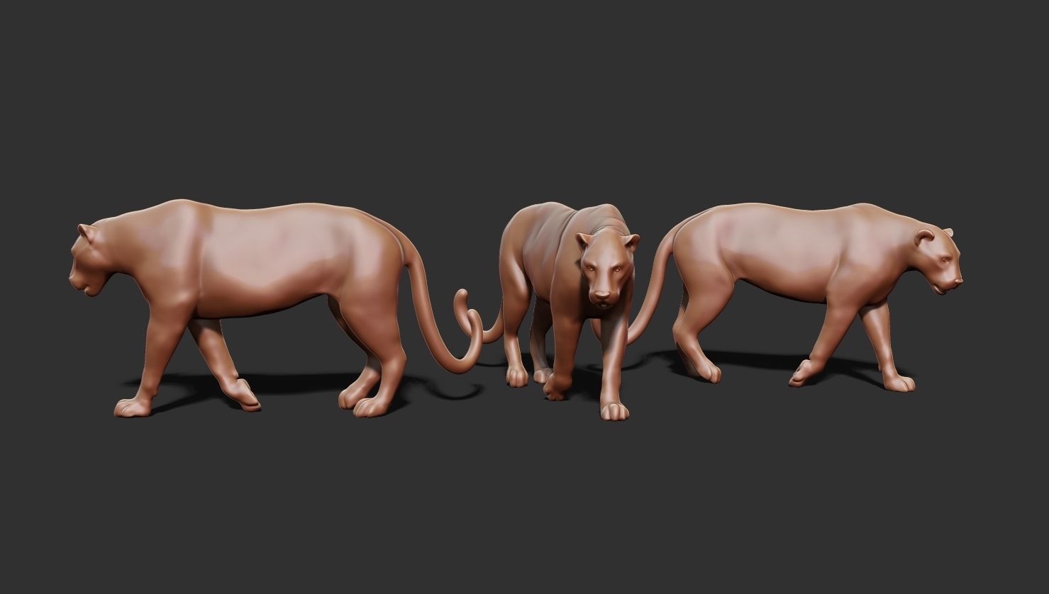 Leopard 3D print model_3
