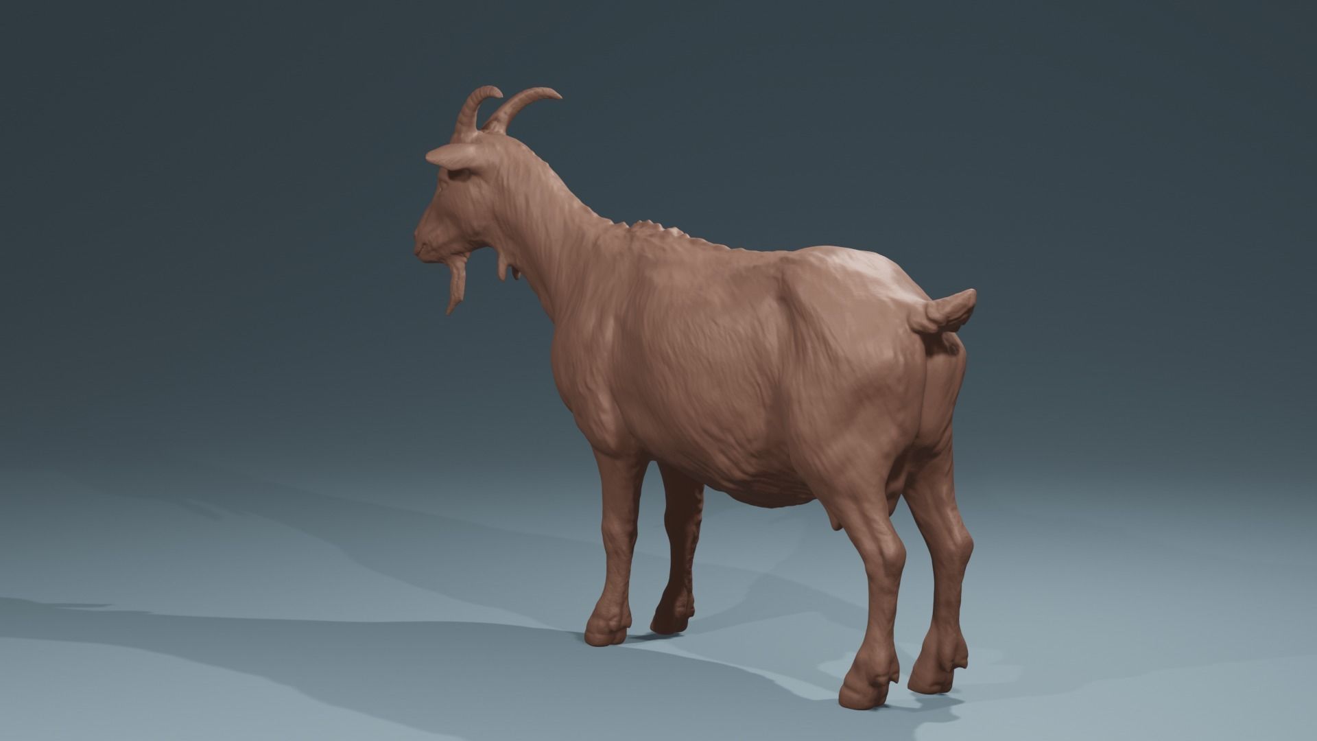 Standing Goat realistic farmanimal for printing  Diorama 3D print model_2