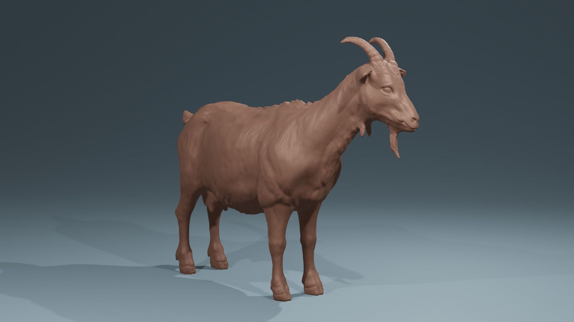 Standing Goat realistic farmanimal for printing  Diorama 3D print model_4