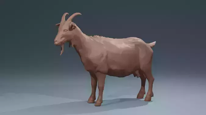 Standing Goat realistic farmanimal for printing  Diorama 3D print model