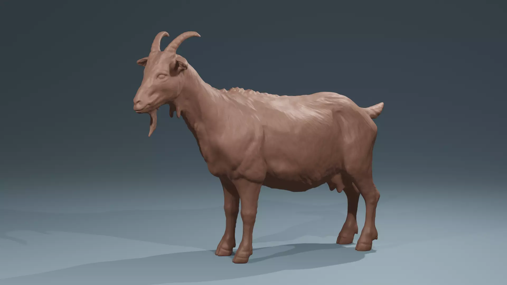 Standing Goat realistic farmanimal for printing  Diorama 3D print model_0
