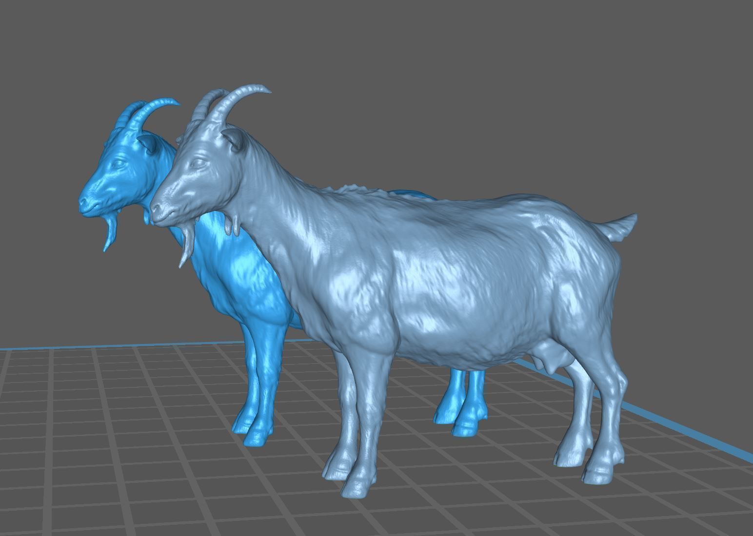 Standing Goat realistic farmanimal for printing  Diorama 3D print model_6