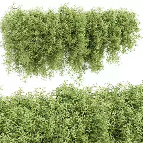 Hanging wall plants vol 171 3D model