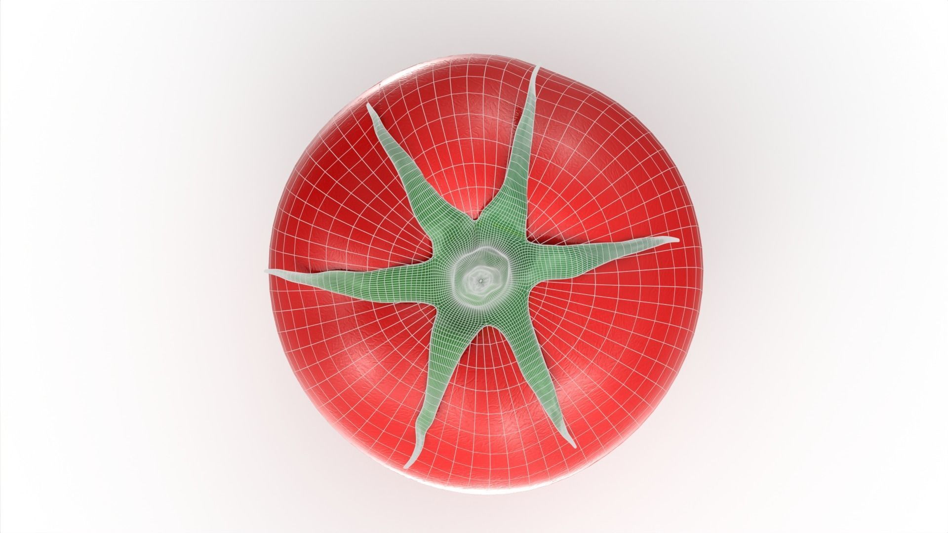 Red Tomato Free low-poly 3D model_7