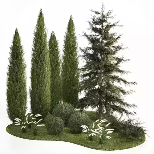 Garden of thuja and cypress trees with feather grass bushes 1160 3D model