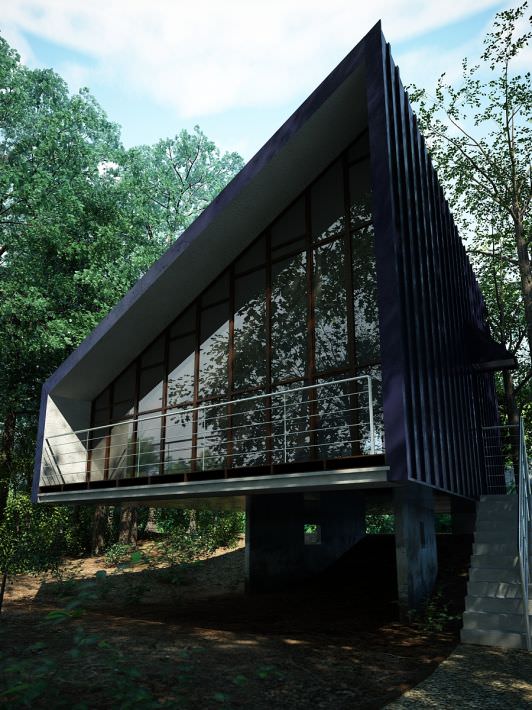 Modern House In A Forest 3D model_1