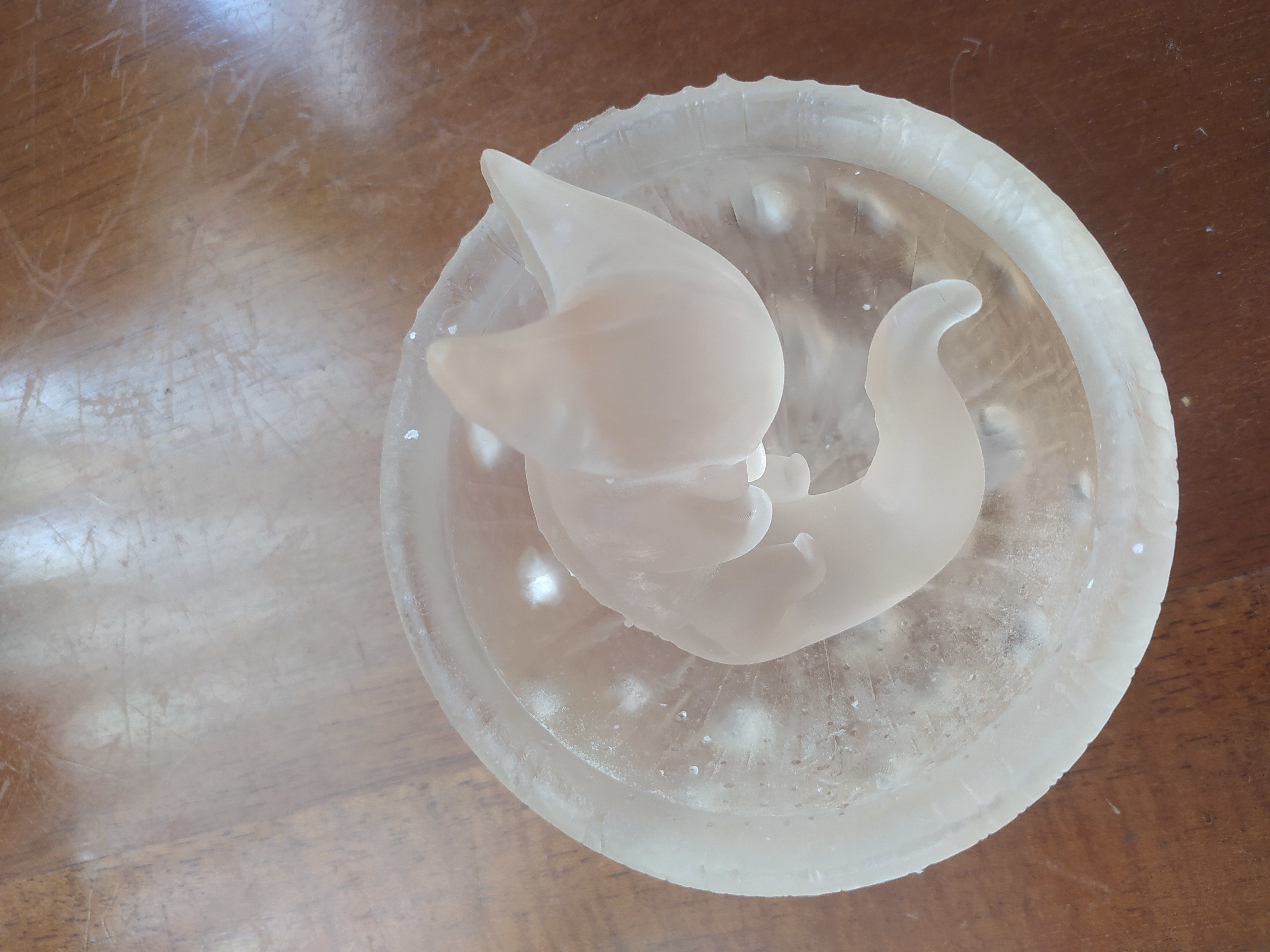 DRAGONBALL Z LARVA CELL AND COCOON 3D print model_7