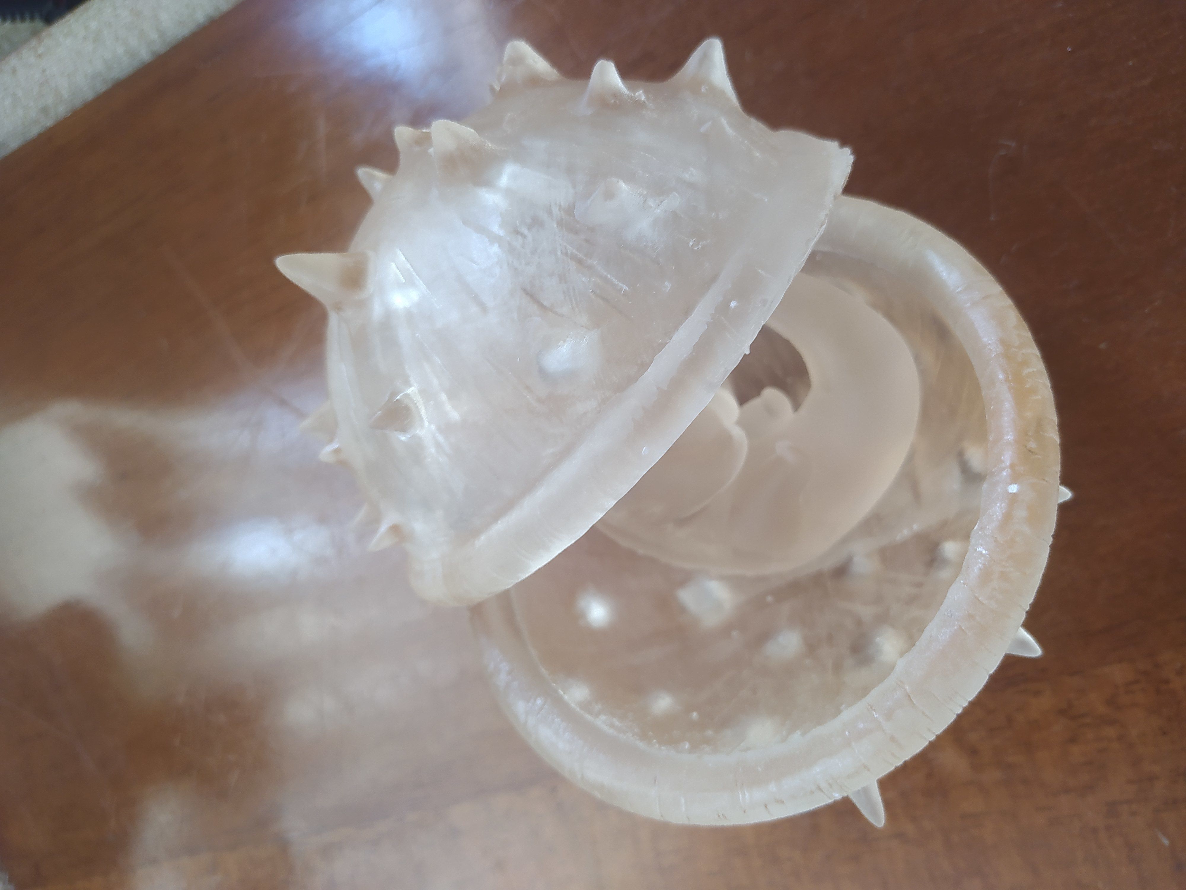 DRAGONBALL Z LARVA CELL AND COCOON 3D print model_8