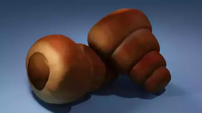 Croissant shell 3D model