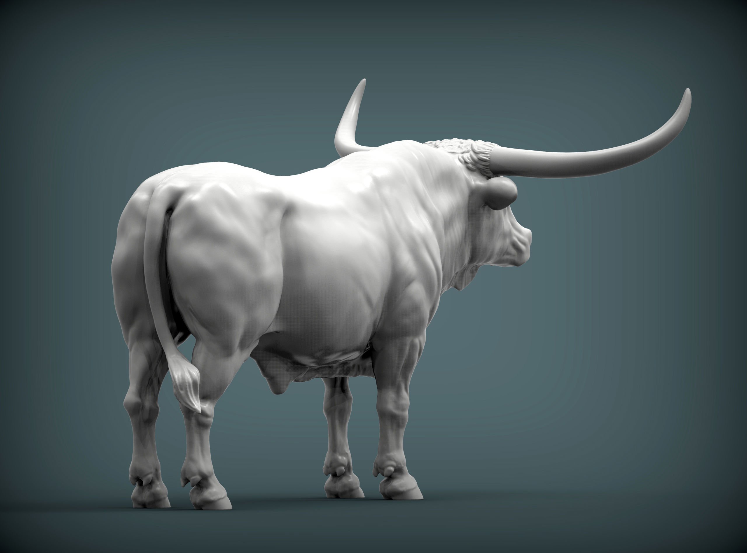 Texas Longhorn 3D print model_6