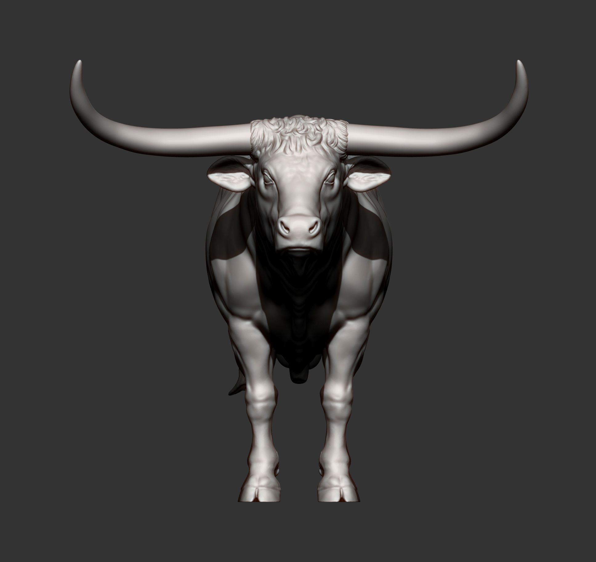 Texas Longhorn 3D print model_12