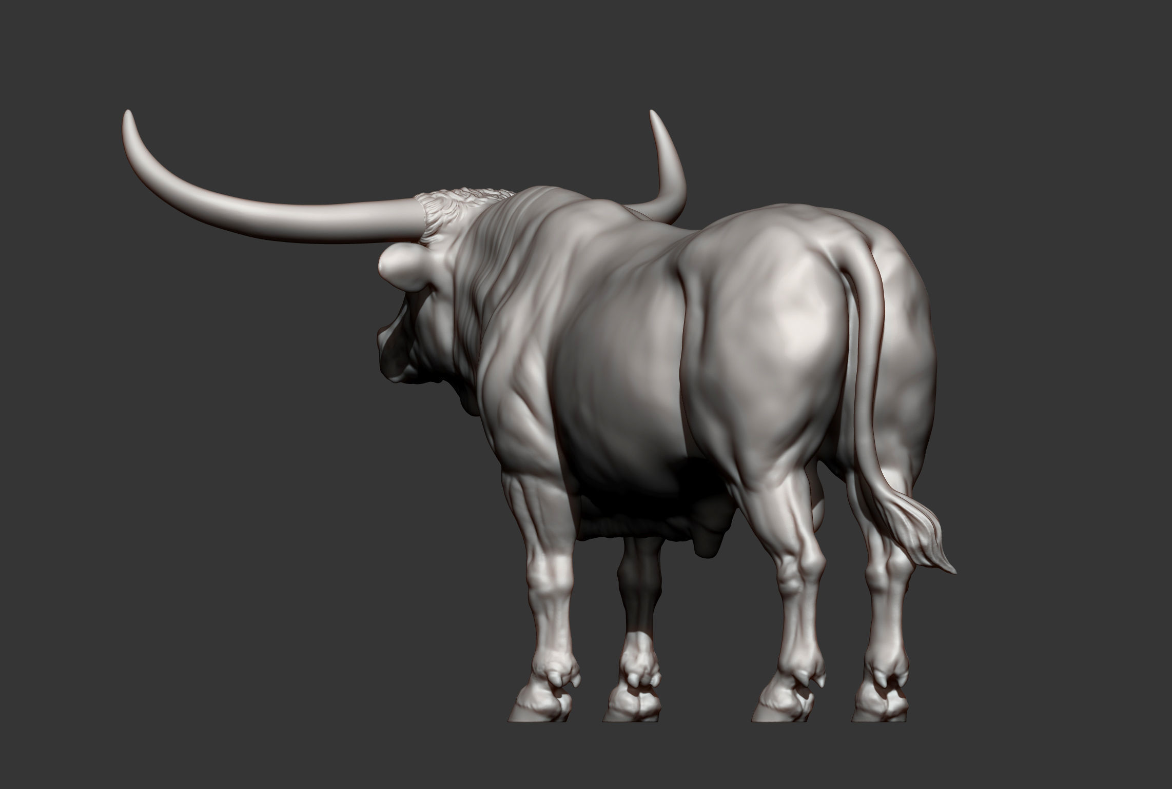 Texas Longhorn 3D print model_8