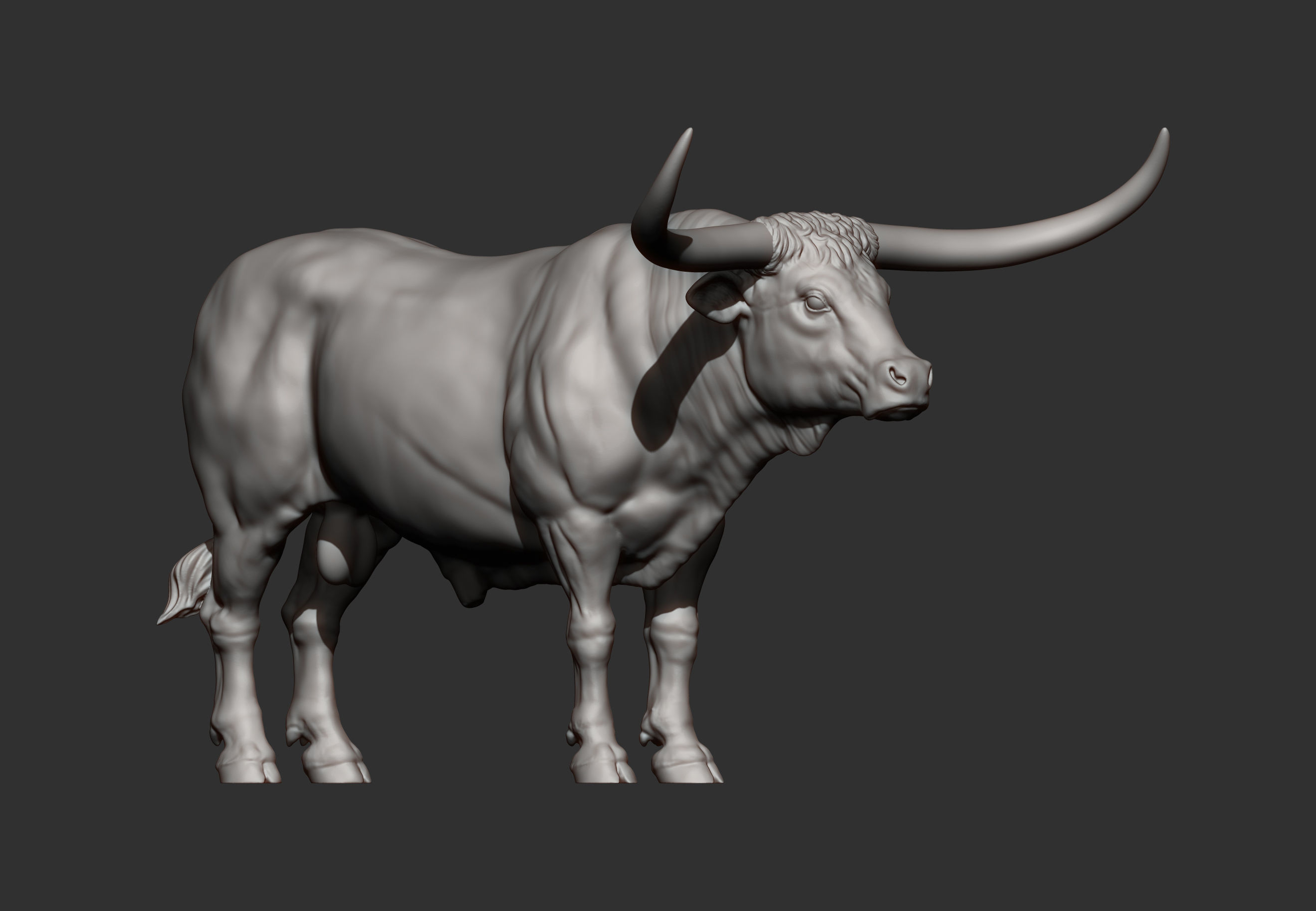 Texas Longhorn 3D print model_14