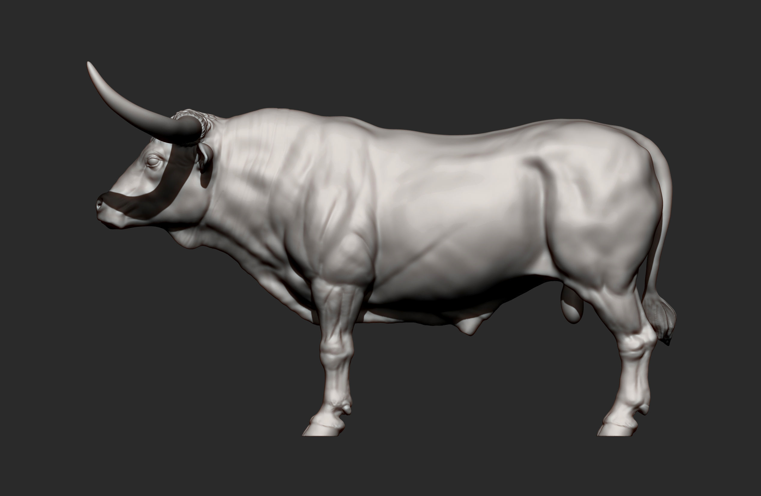 Texas Longhorn 3D print model_13