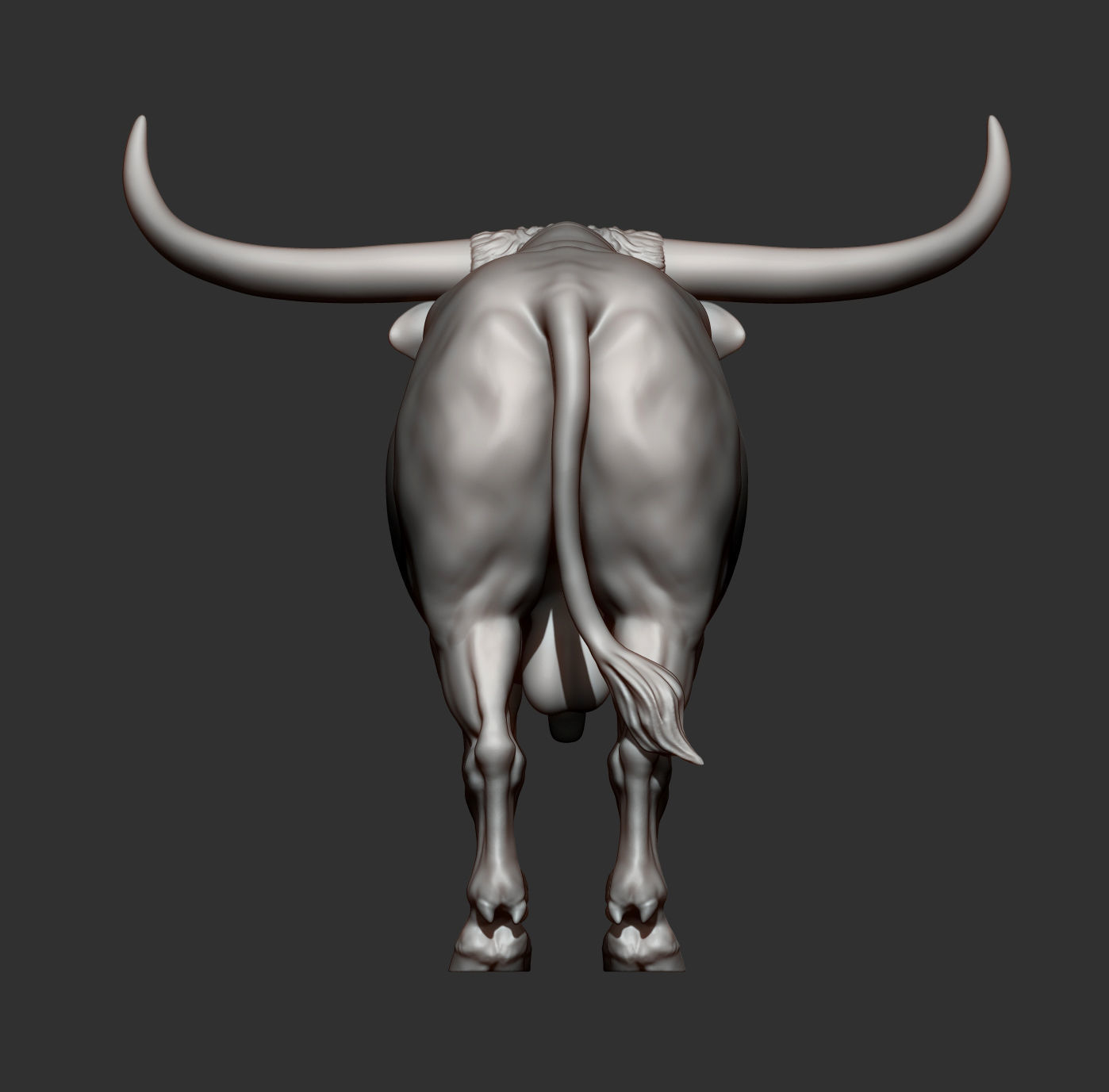 Texas Longhorn 3D print model_10