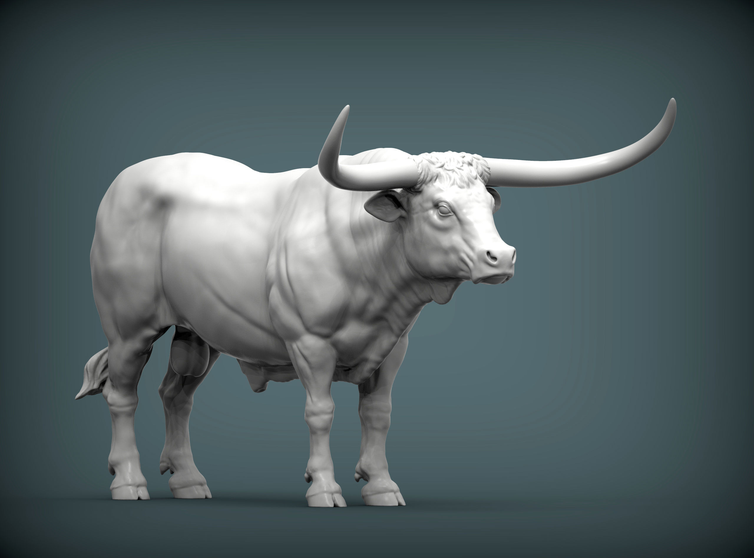 Texas Longhorn 3D print model_4