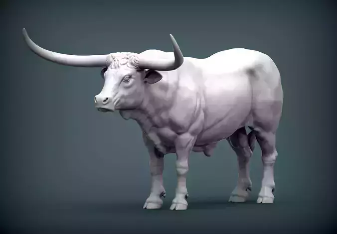 Texas Longhorn 3D print model