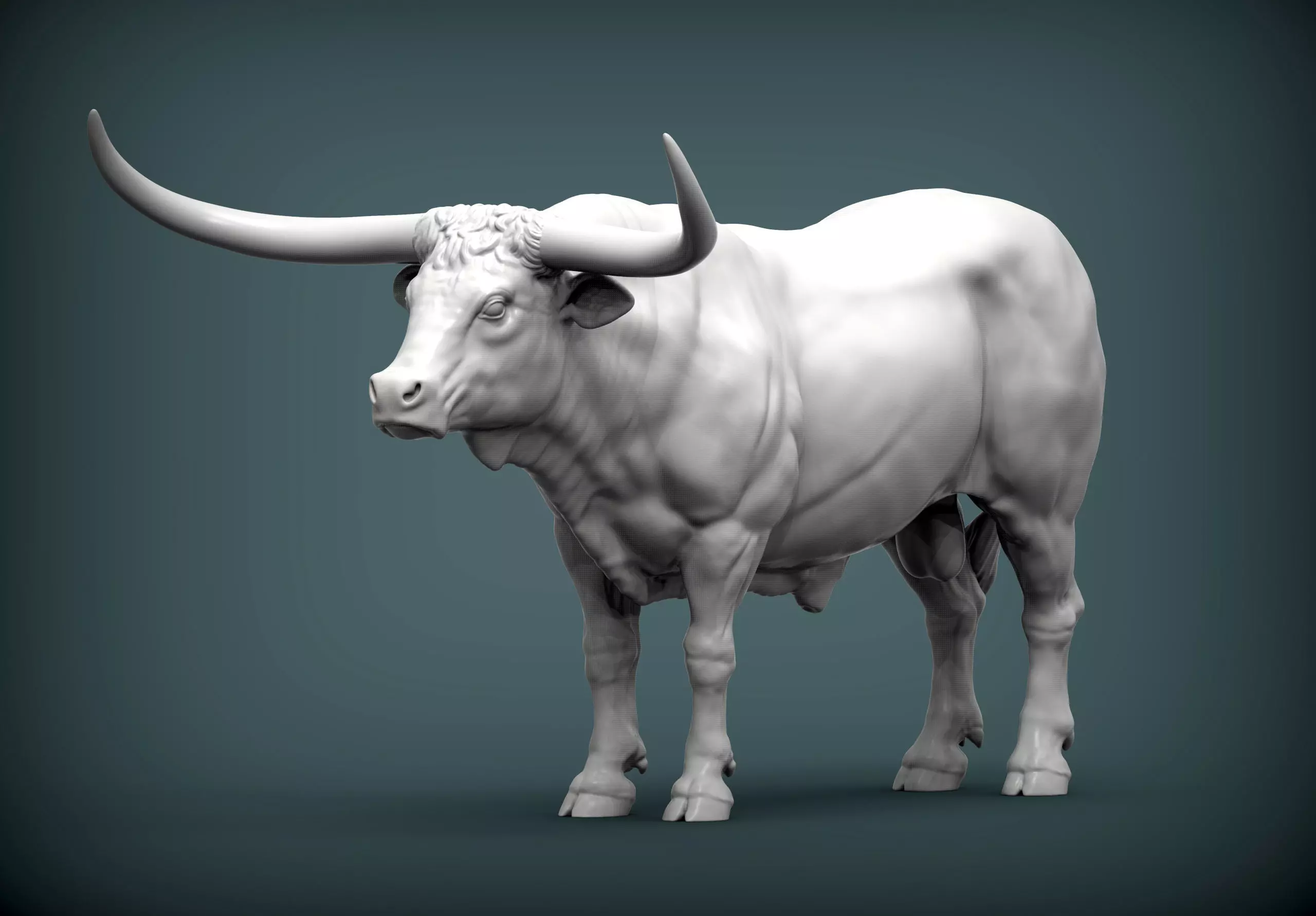 Texas Longhorn 3D print model_0