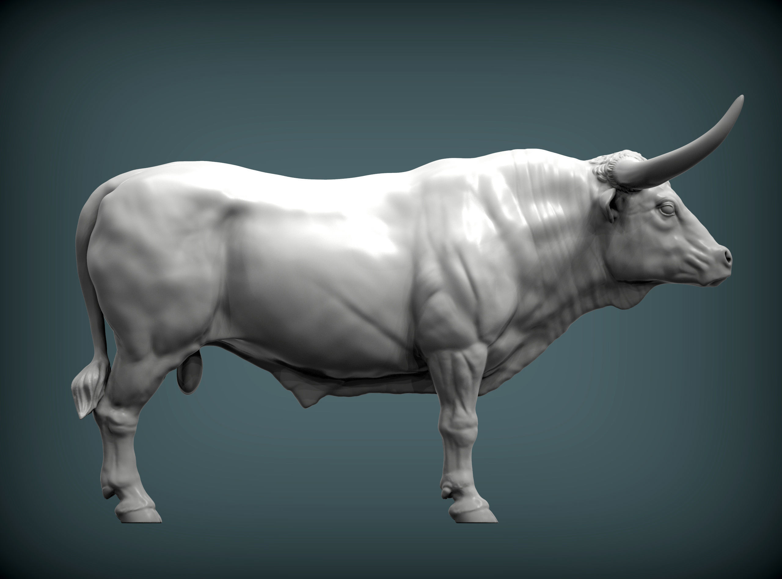 Texas Longhorn 3D print model_5