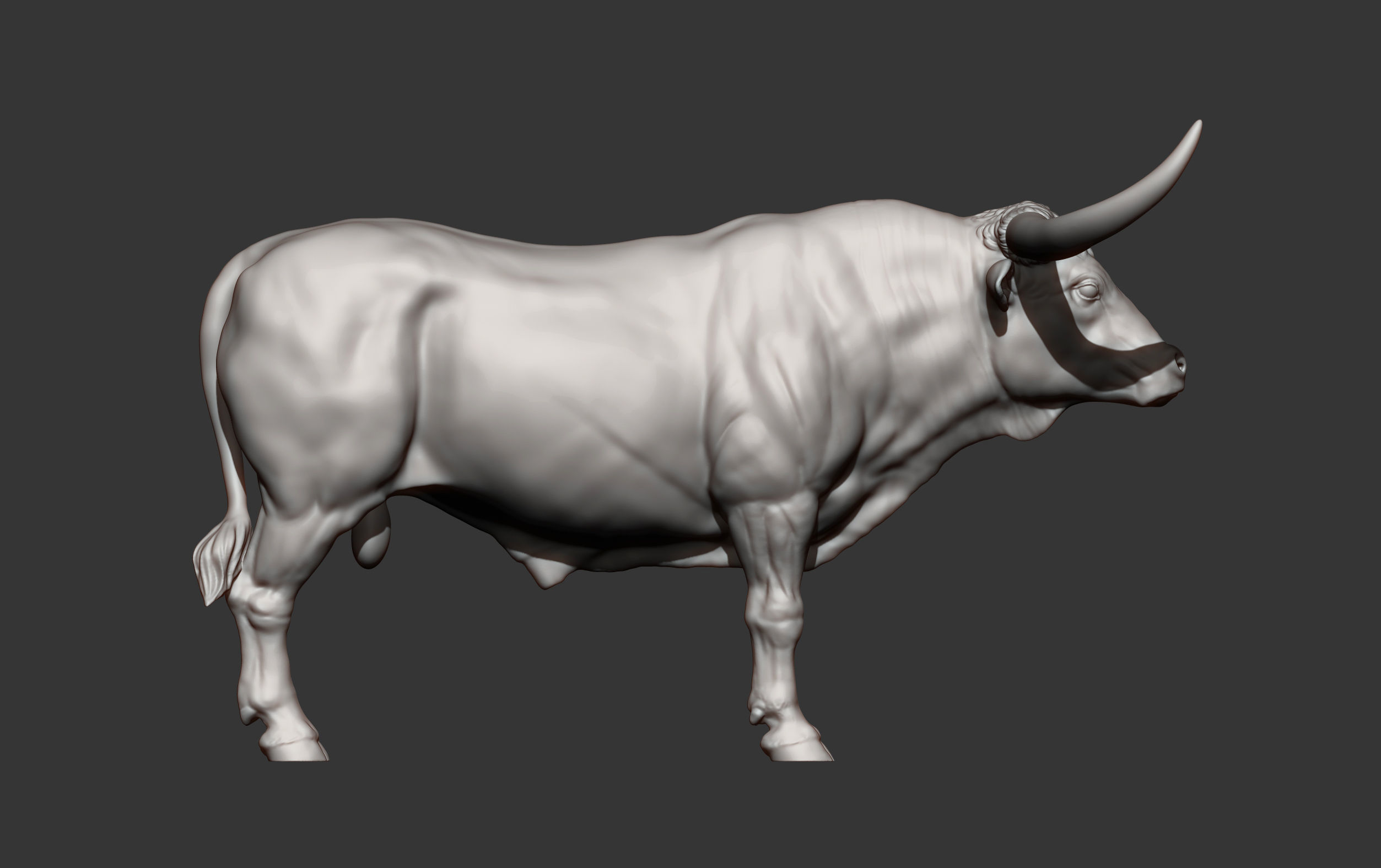 Texas Longhorn 3D print model_11