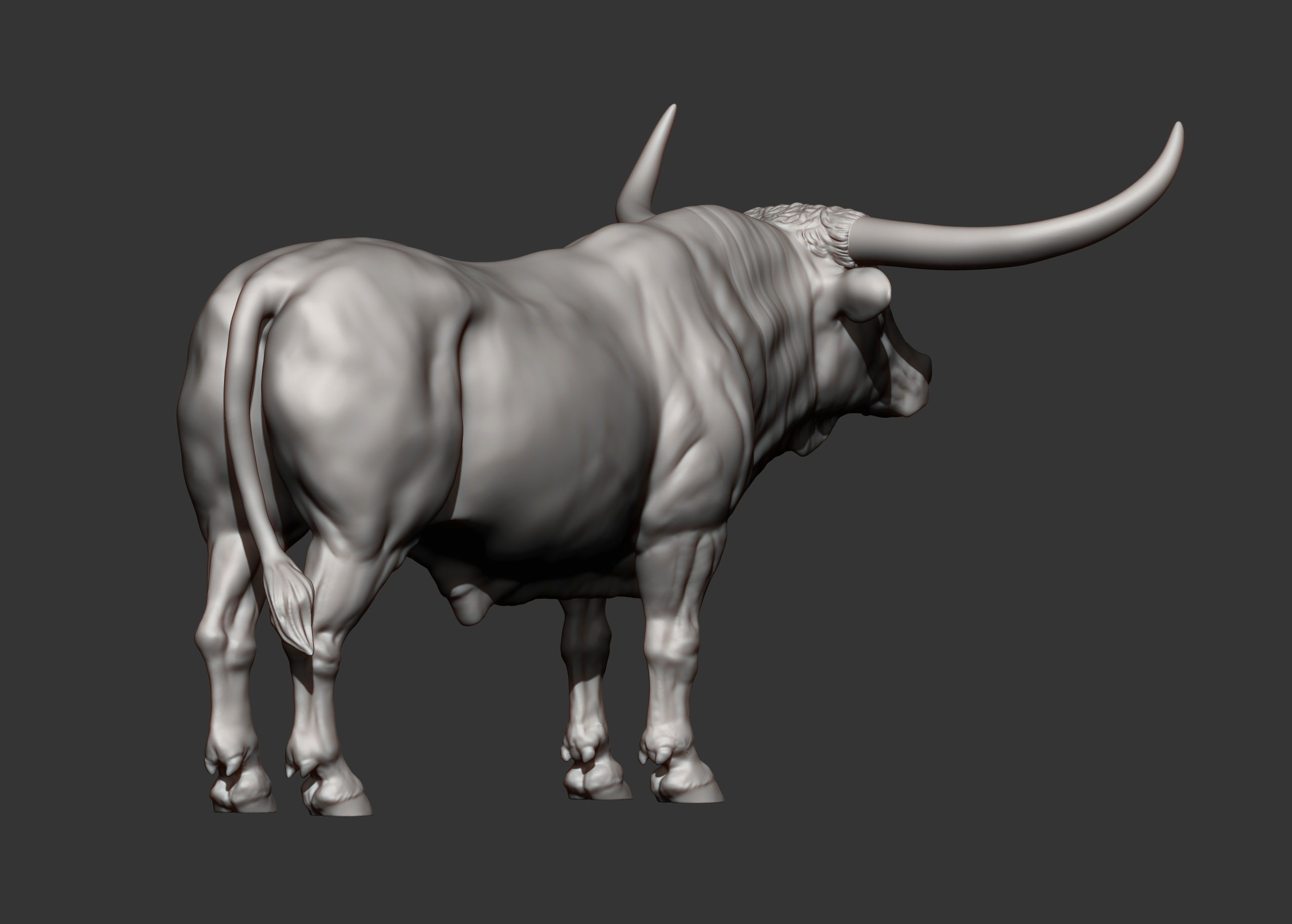 Texas Longhorn 3D print model_9