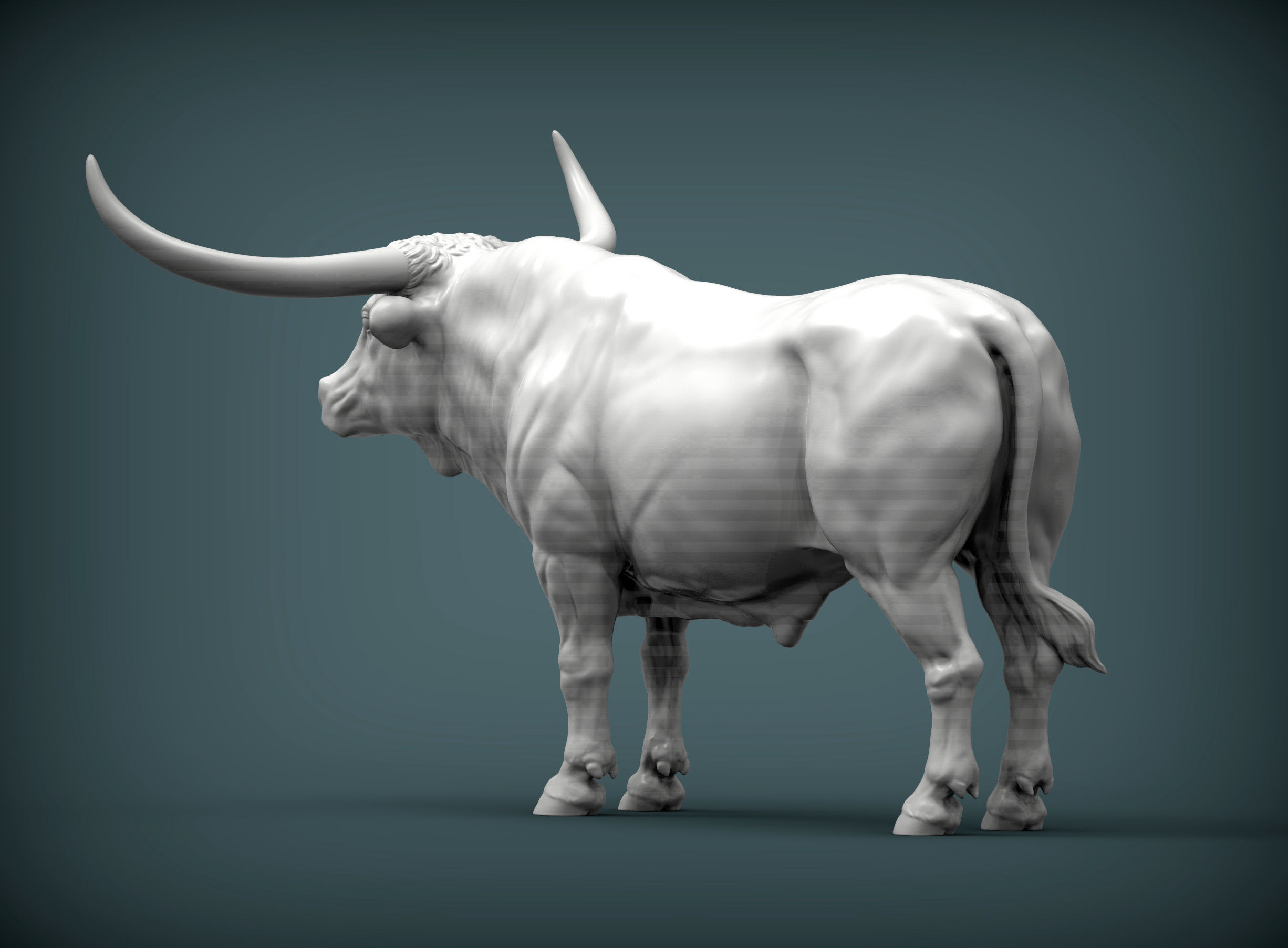 Texas Longhorn 3D print model_3