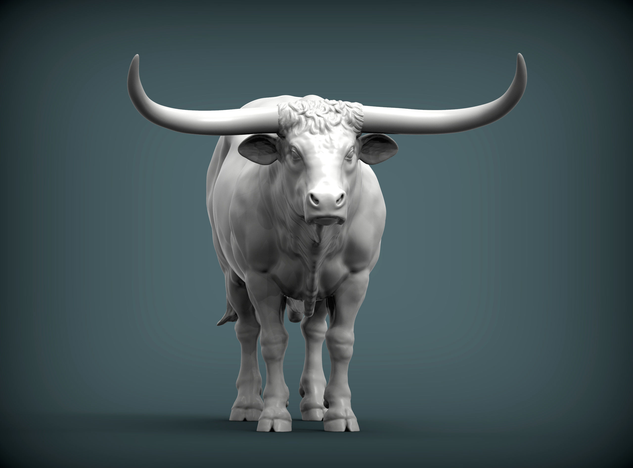 Texas Longhorn 3D print model_7