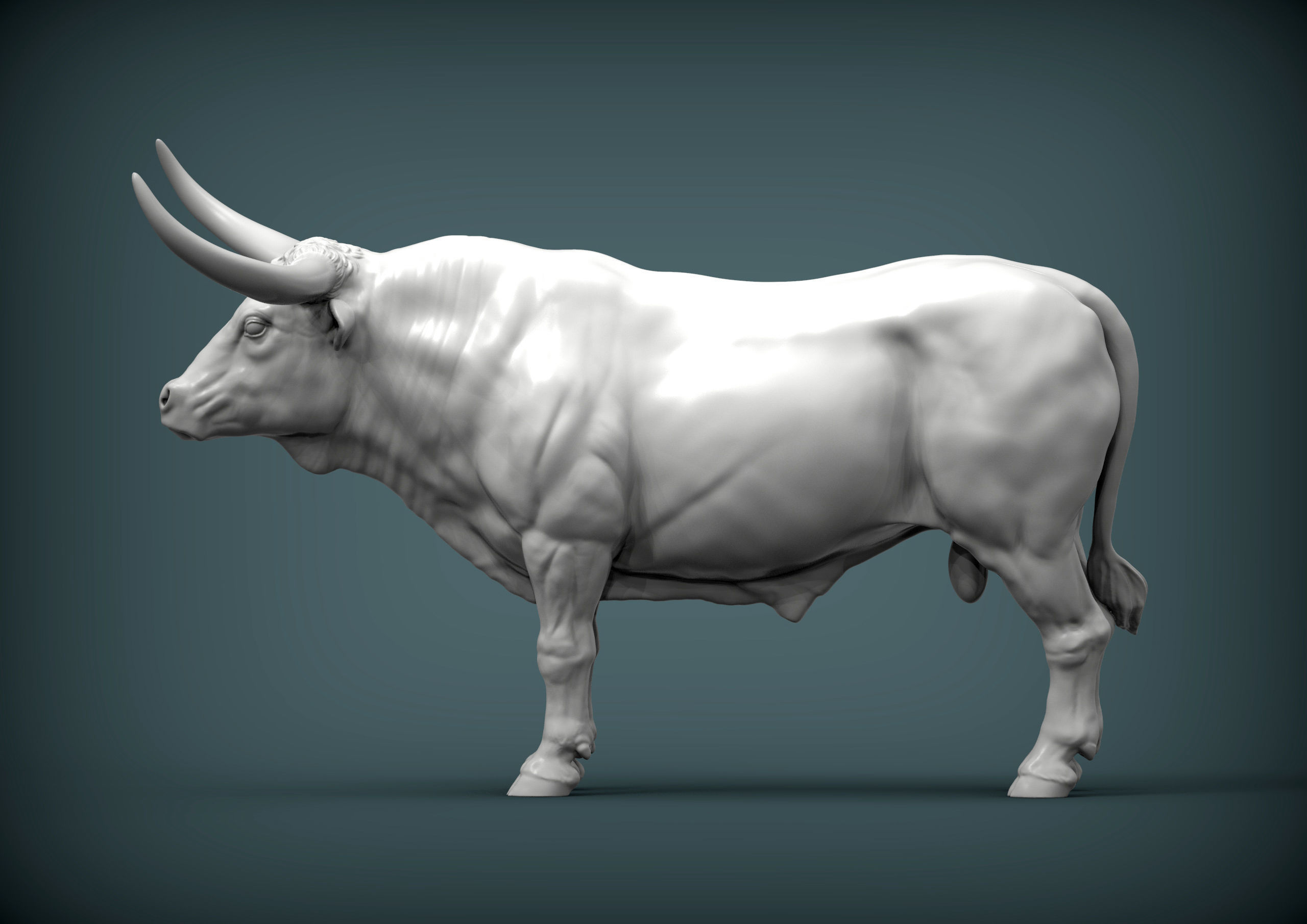 Texas Longhorn 3D print model_2