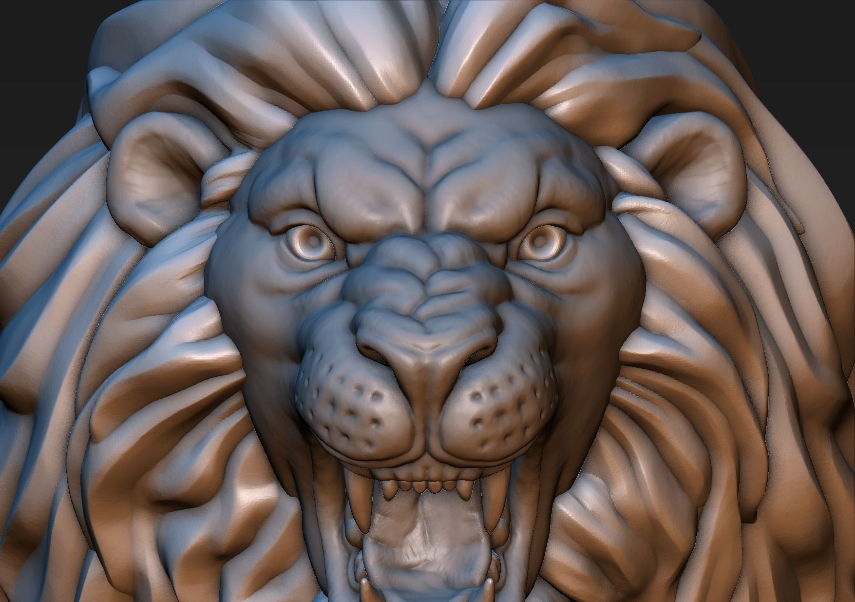 Lion Head 3D print model_19