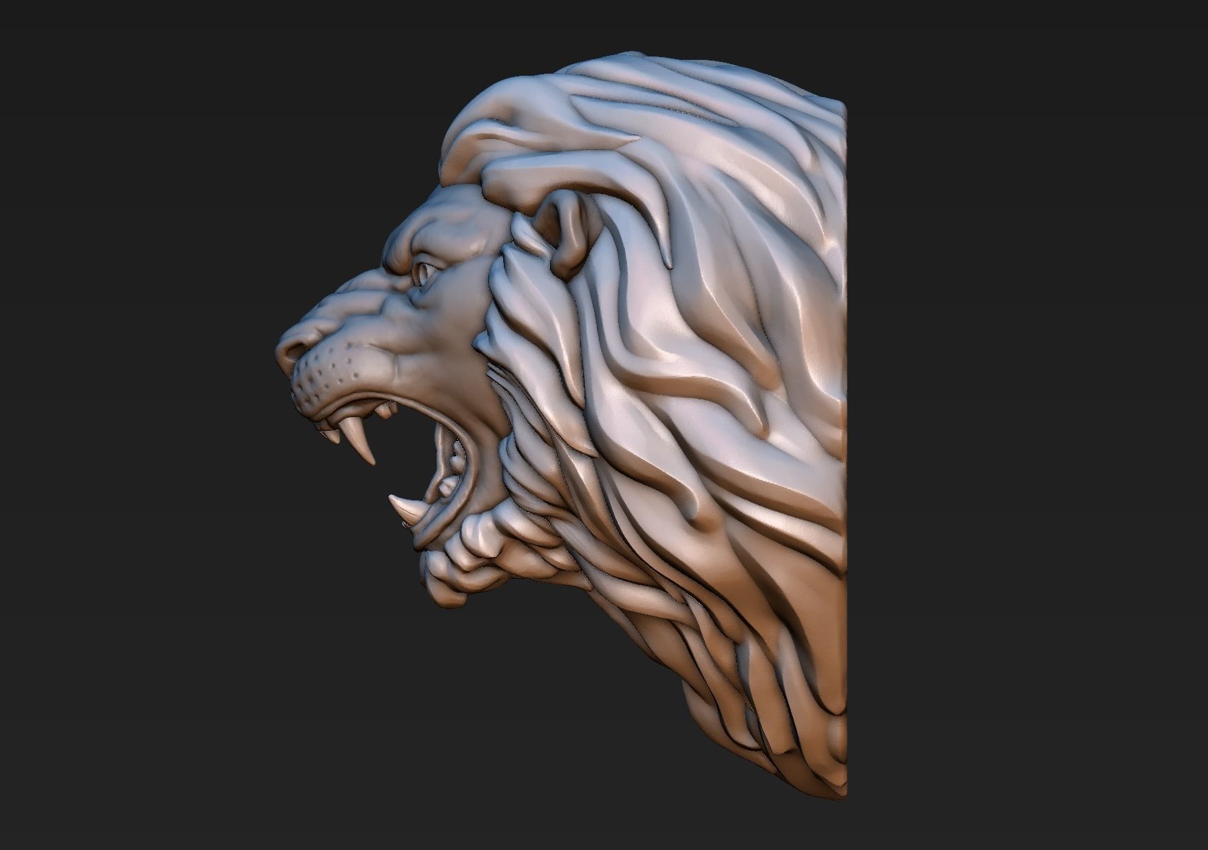 Lion Head 3D print model_9
