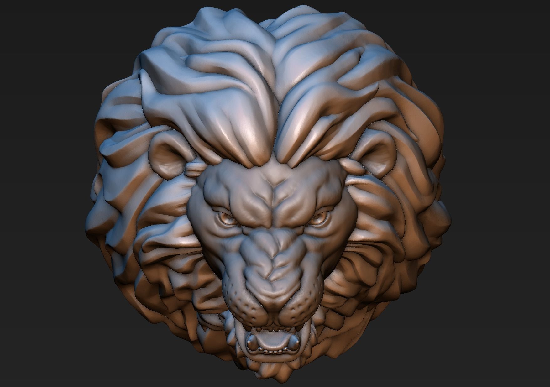 Lion Head 3D print model_16