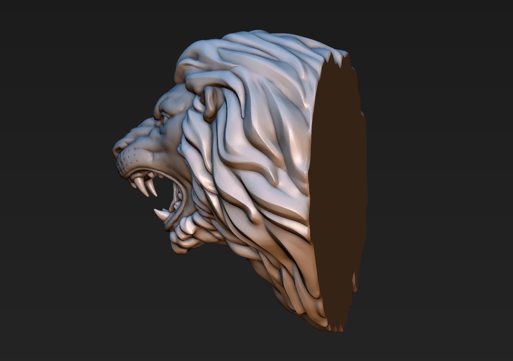 Lion Head 3D print model_8