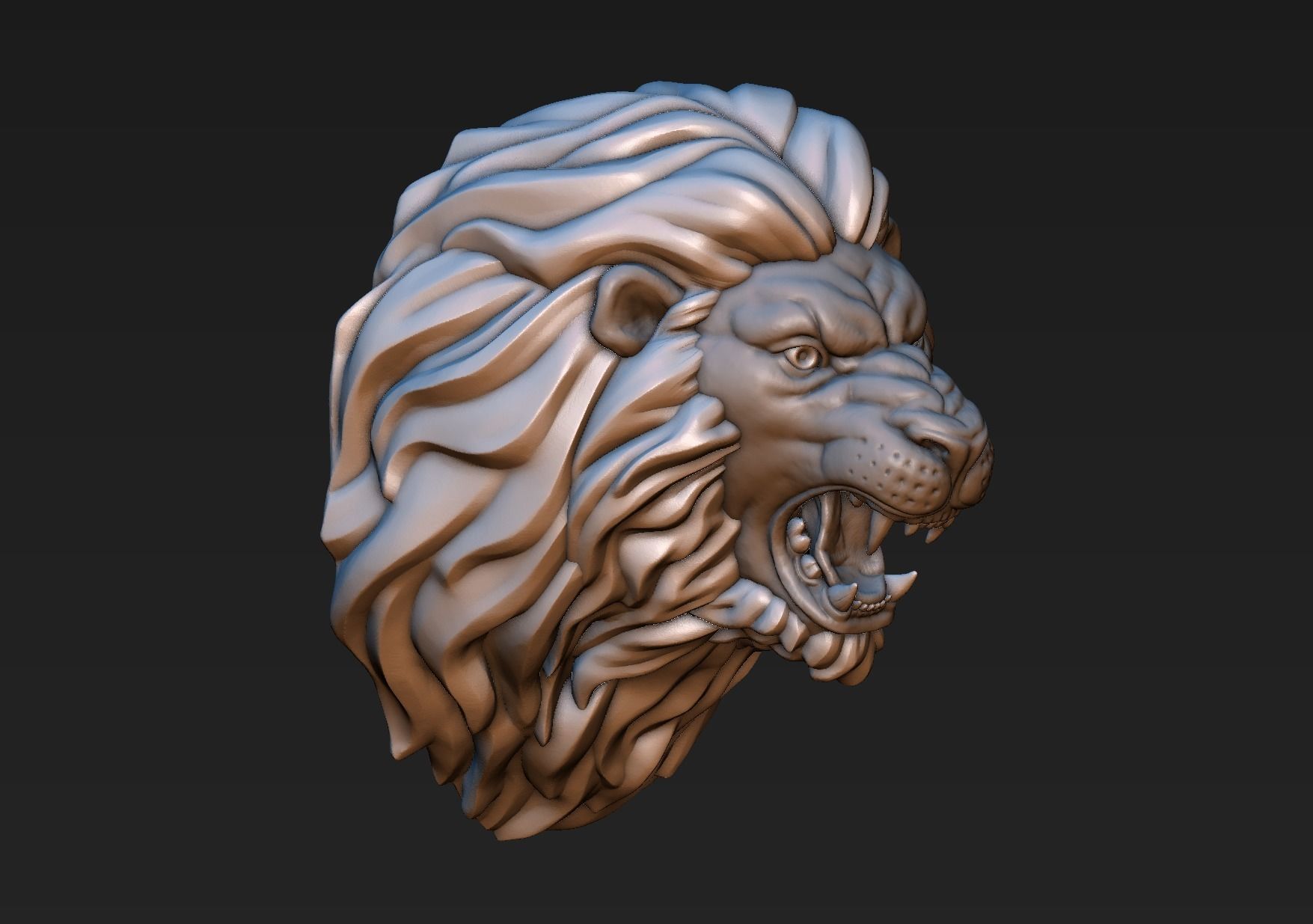 Lion Head 3D print model_4