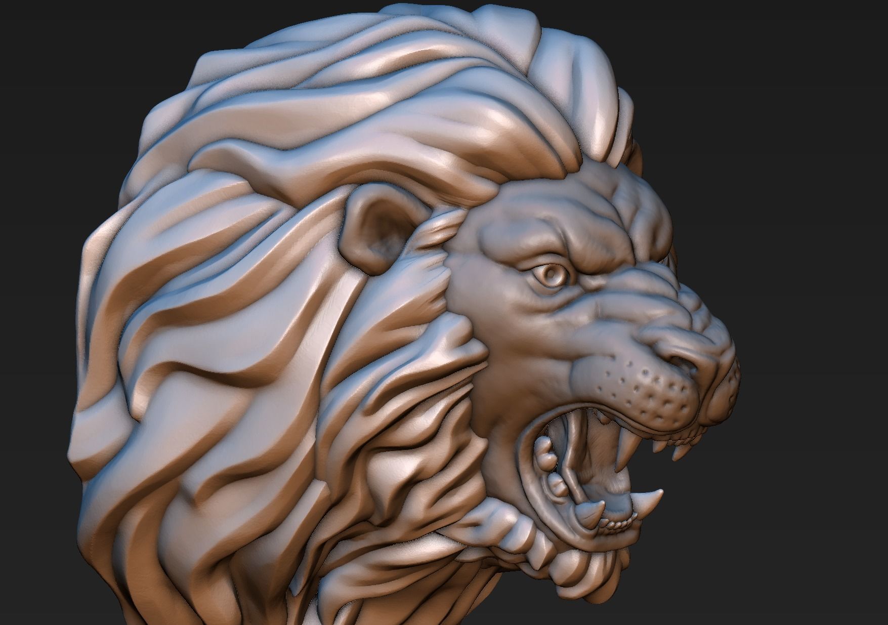 Lion Head 3D print model_15
