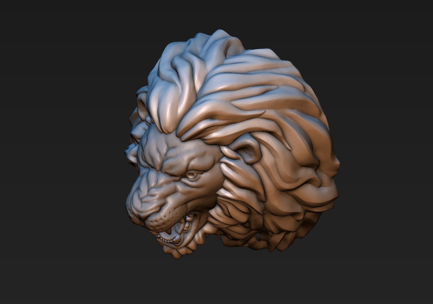 Lion Head 3D print model_12