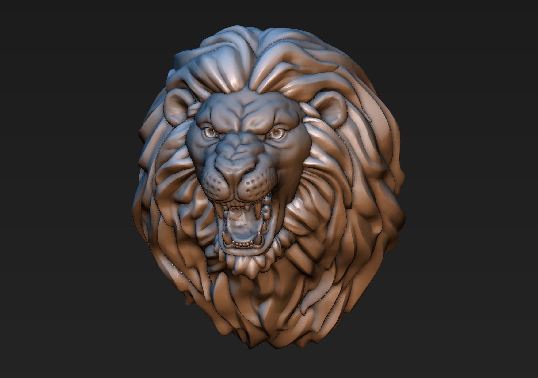 Lion Head 3D print model_11