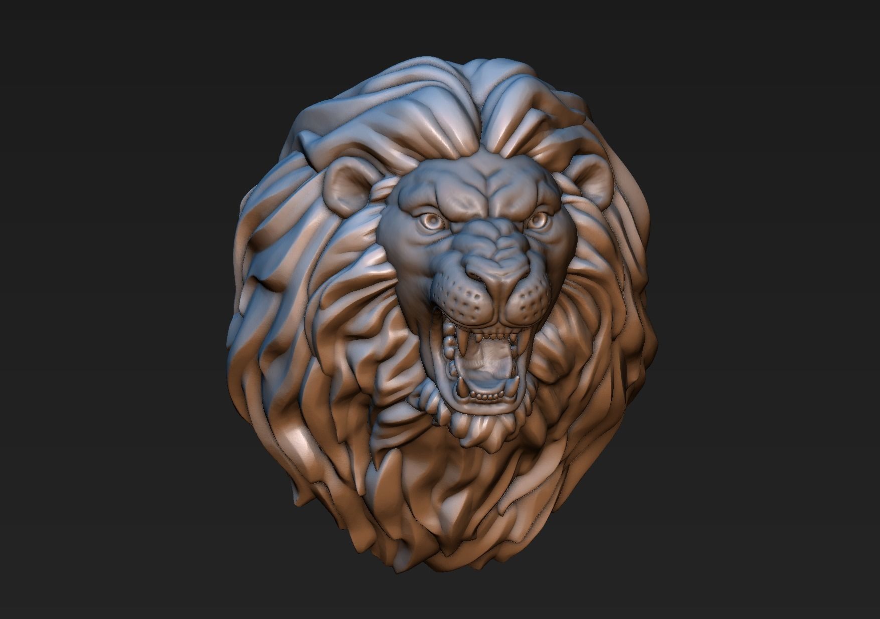 Lion Head 3D print model_3