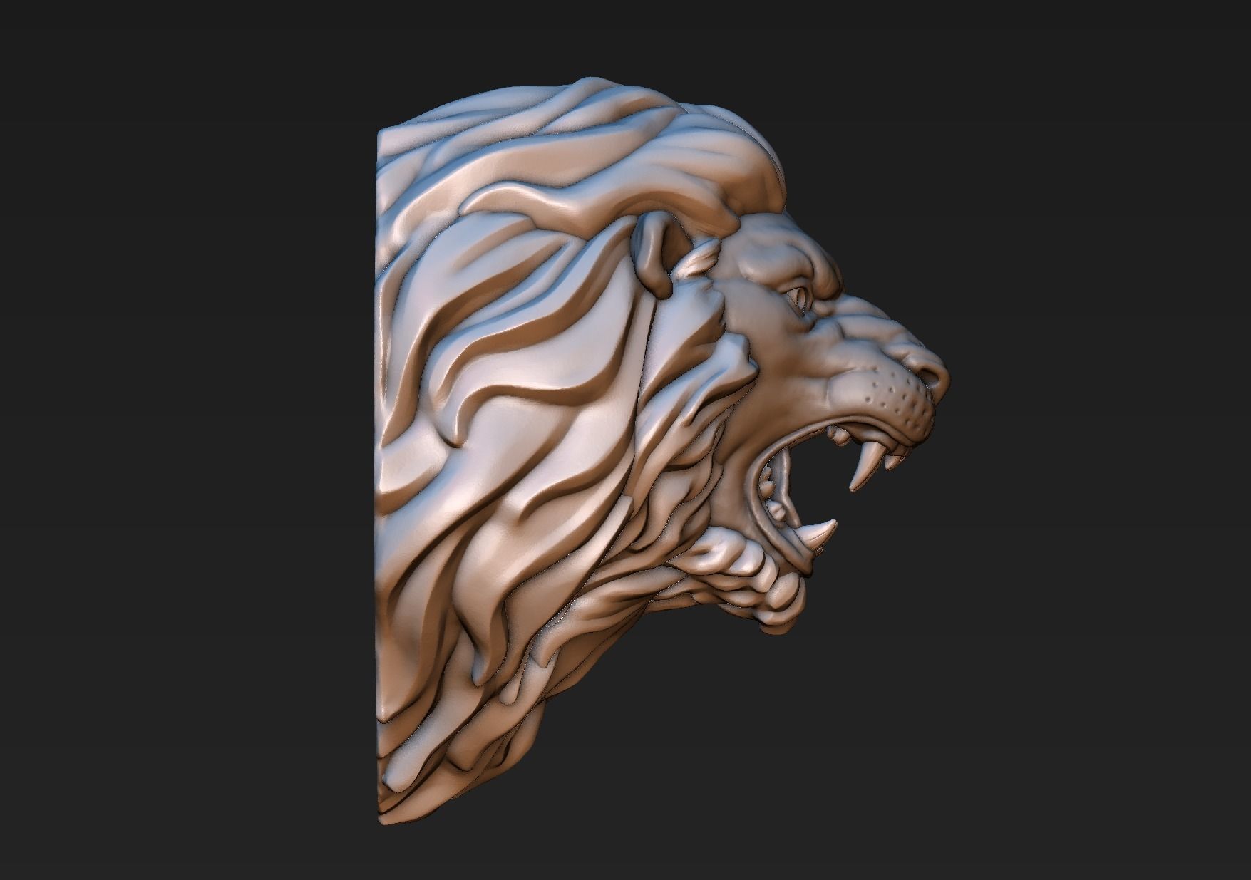 Lion Head 3D print model_5
