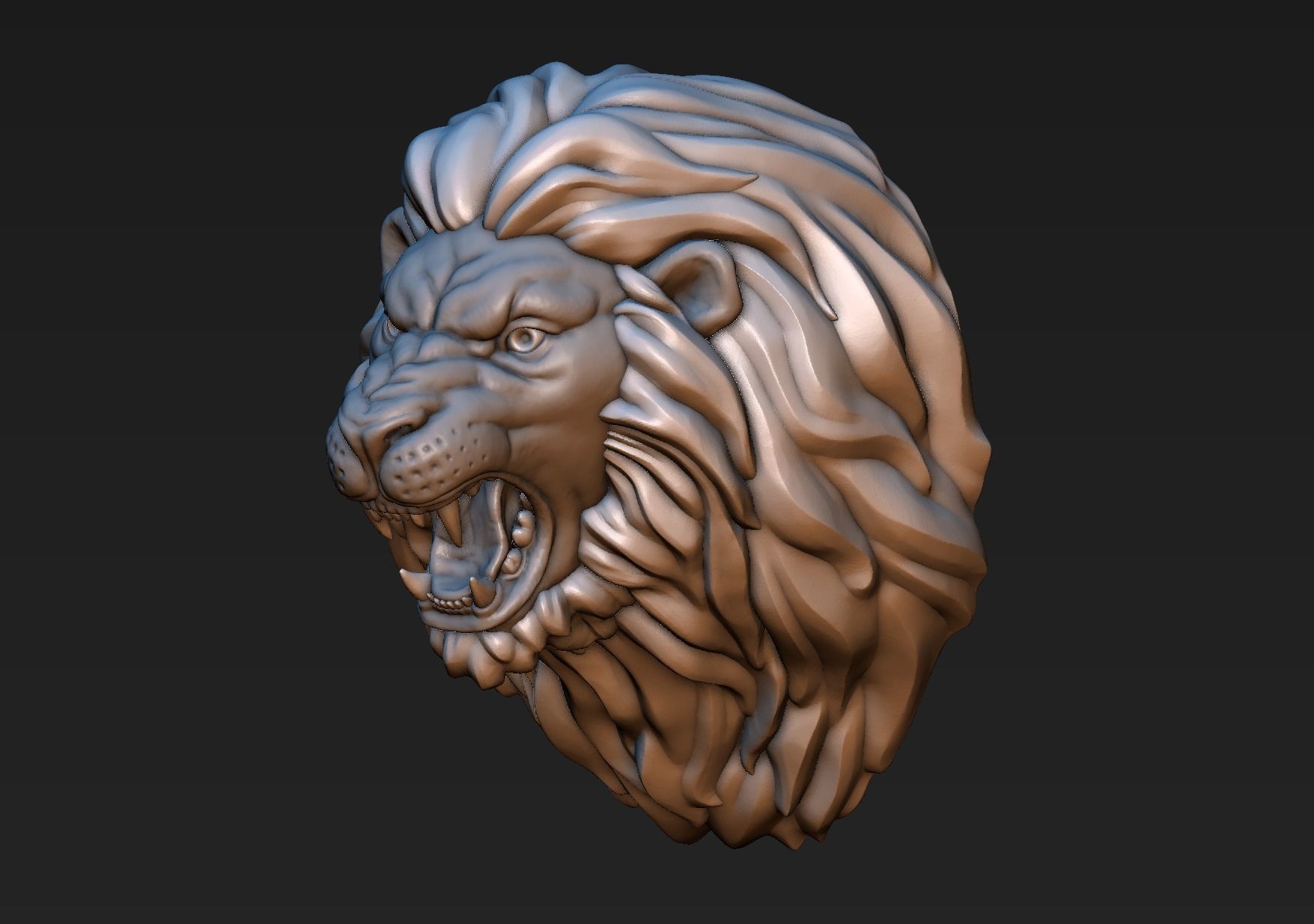 Lion Head 3D print model_10