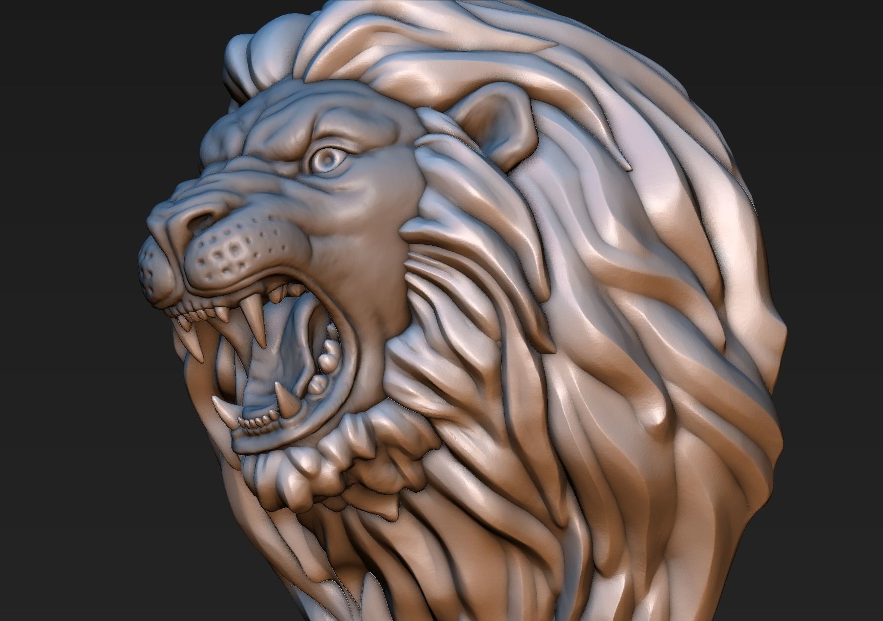 Lion Head 3D print model_18
