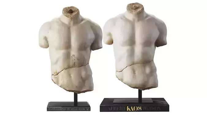 Discophoros Bust and Books Set 1